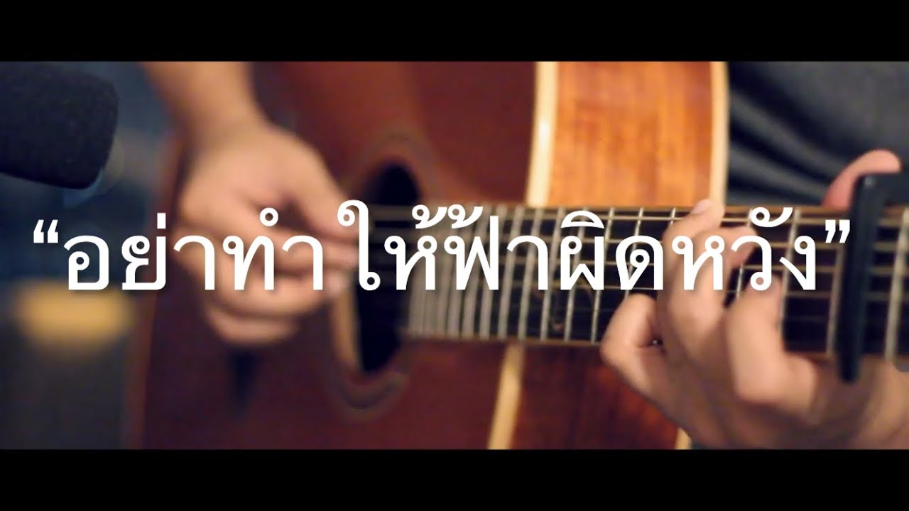 อย่าทำให้ฟ้าผิดหวัง - Endorphine Fingerstyle Guitar Cover (TAB)