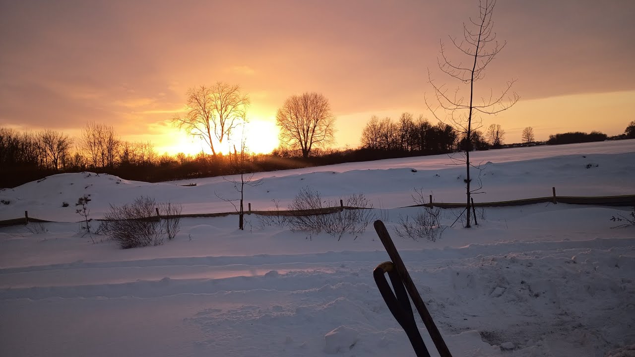 If heaven had a phone 