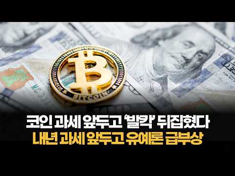 코인 과세 앞두고 ‘발칵’ 뒤집혔다…내년 과세 앞두고 유예론 급부상