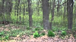 Dodgeville WI Real Estate for Sale