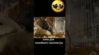 Фильм Для Семейного Просмотра