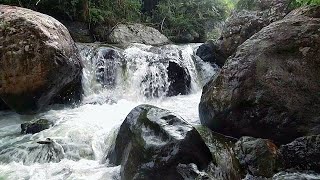 Liquid Harmony River's Gentle Murmurs for Deep Serenity ( Relaxation, Meditation, ASMR )