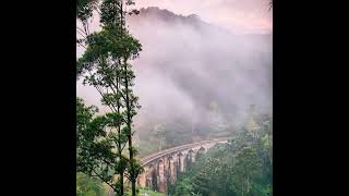Alluring Sri Lanka: A Journey of Serenity and Splendor