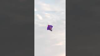 Big Kite Flying 2026 | Happy Independence Day | Patang Ki Video | Yogesh 01