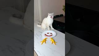 किट्टी को कबाब बनाकर खा लिया🥹#Catsoftiktok #CatLovers #cat #cute #FunnyCats #catcartoon