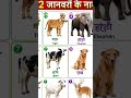 12 janwaro ke naam #indian #india #reels #shortvideo #infian-creatot