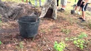 New trees at Camp Weed