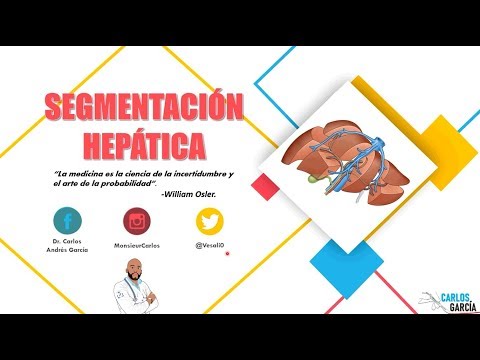 Anatomía - Segmentación Hepática (Lìnea de Cantlié y División Fisiológica del Hígado)