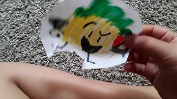 BFB VIEWER VOTING #11