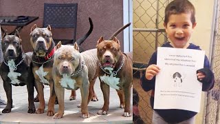 A touching story of how a 4 year old boy became a guardian angel for Pitbulls from a shelter