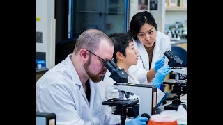 University of Utah Health Medical Laboratory Sciences Division