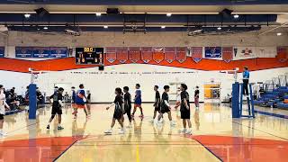 jungleball in the jungle 