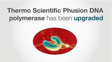PCR with higher success, simpler success, and a trusted enzyme