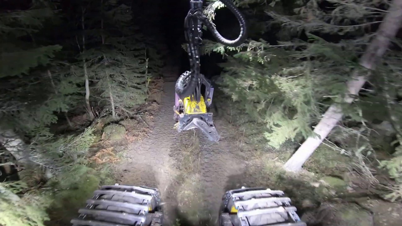 My day. Ponsse Scorpion King H7.