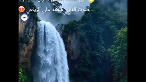 # اسمع ماتيسر من سورة الرحمن بصوت القارئ اليمني محمد علي الزيلعي 😌😌
