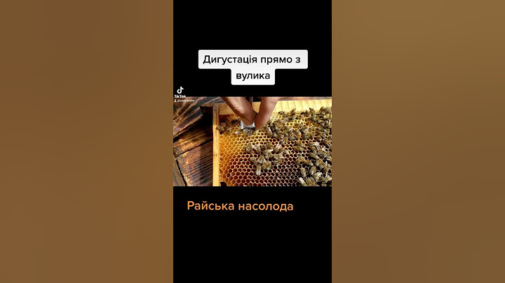 Їм прямо з вулика? Бджоли самі видають мед. Шок! Але наші бджоли дрисеровані!