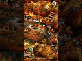 Magic Mushroom - Psychedelic Visuals [TRIPPY WARNING] (4K) #trippy #dmt #🍄 #😵‍💫 #🌀 #🎃 #pumpkins