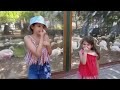 DÜNYANIN 4.BÜYÜK HAYVANAT BAHÇESİNİ GEZİYORUZ BÖLÜM3 #funny #hayvanatbahcesi#keşfet#funnyvideo 
