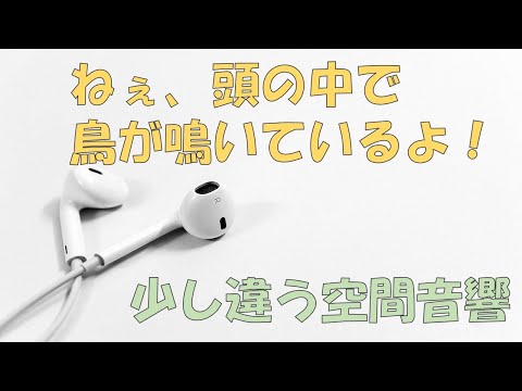 3D-Audio＋ イヤホン/ヘッドホン専用【新感覚オーディオ/音響技術開発】