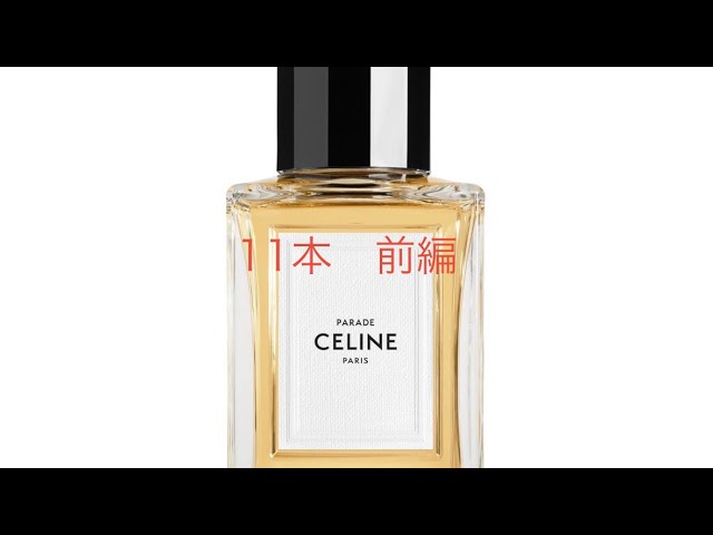 No. 18] Celine Parade: A complete explanation of the appeal and
