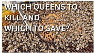 Which queens to kill and which to save?