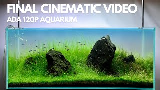 Ada 120P Iwagumi Nature Aquarium Final Cinematic