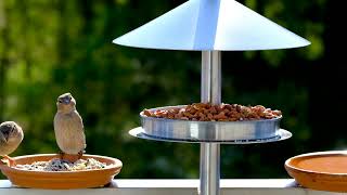 Gratisbuch - Immer Ausgebucht - Bessere Werbemaßnahmen Ergreifen