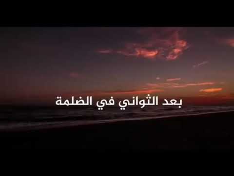 محمد سعيد مفيش بديل