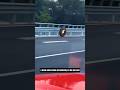 the moment the truck wheels roll freely on the toll road‼️😱#shortvideos #americanhistory