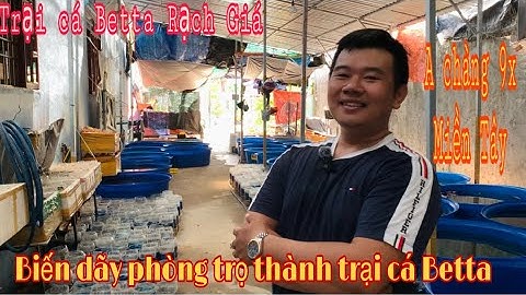 A chàng biến dãy phòng trọ thành trại cá betta lớn nhất nhì Rạch Giá - Thái Salem vê lốc