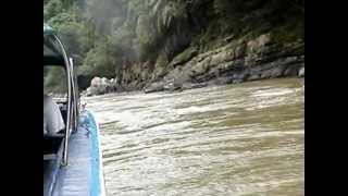 ADVENTURE BOAT RIDE IN MAHAKAM RIVER, BORNEO ISLAND MOV00352