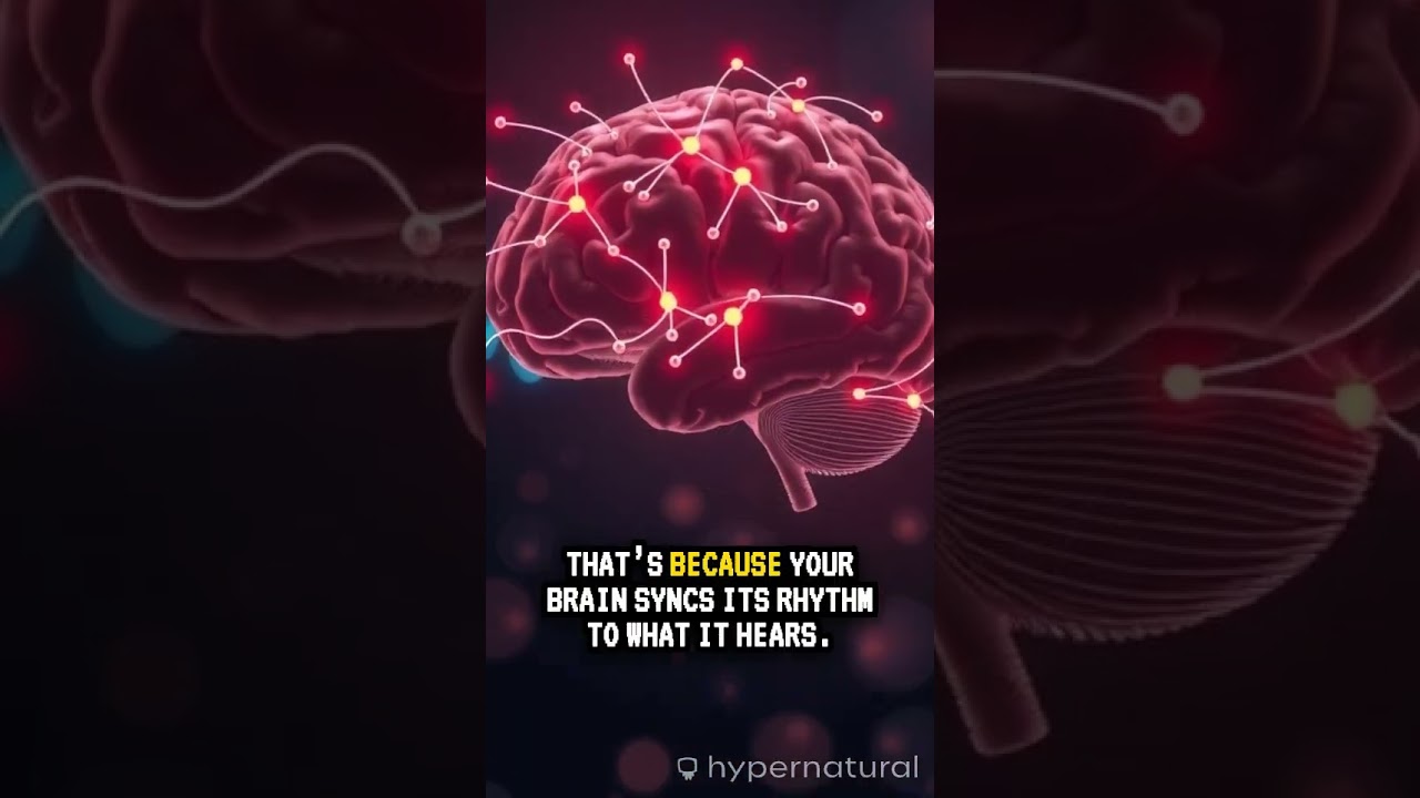Did You Know Music Controls Your Brain? 🎧🧠 