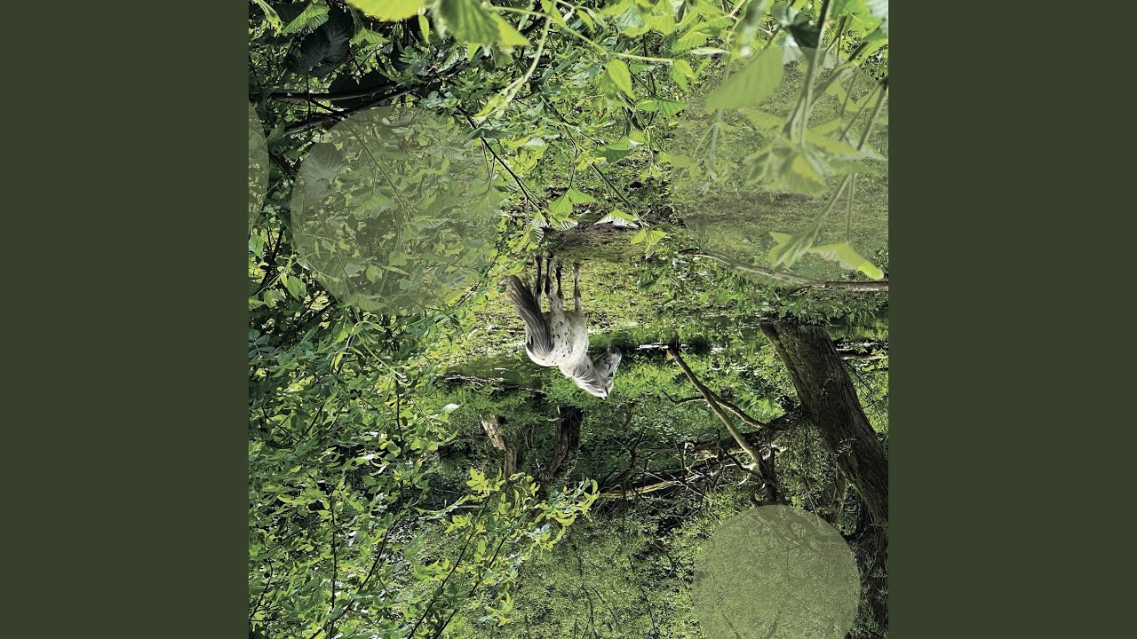 Guarda Yesternight su YouTube Guarda Yesternight su YouTube