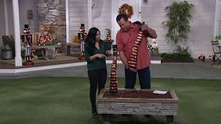 S/2 Illuminated Indoor/Outdoor Decorative Witch Legs with Stakes on QVC