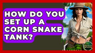 How Do You Set Up A Corn Snake Tank? - Reptilian Wonders