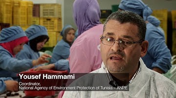 Protecting the environment and securing palm dates industry in Tunisia