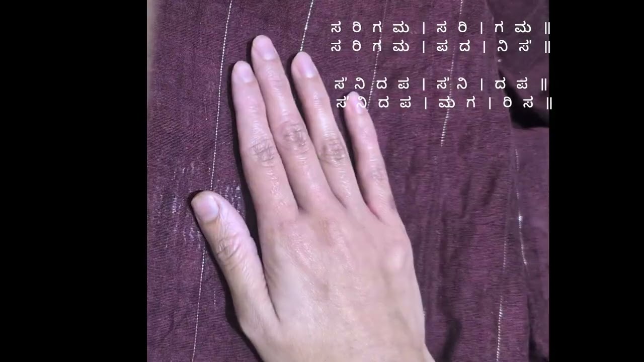 Saralavarese 2 | in all 3 speeds | Swara Practice Tutorial