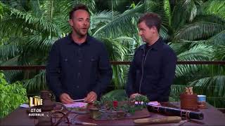 Ant and Dec links - I'm A Celeb 2017 // Episode 6