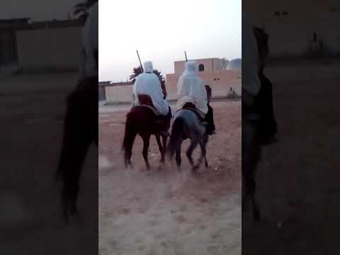 احتفالات مساء كل عيد في مدينة سيدي عمران