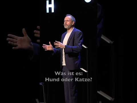 Michel Gammenthaler - Hunde & Katzen
