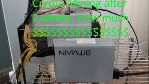 ASIC antminer L3+ review after 2 weeks