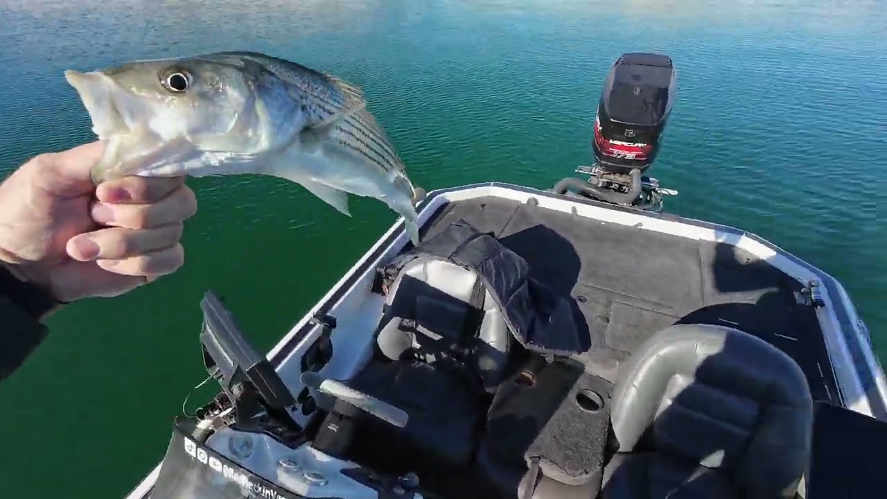 Its Fall Yall. Lake Mead bass Fishing