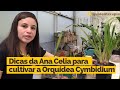 A Ana gravou este vídeo para te passar várias dicas sobre a Cymbidium! | Orquideoterapia | Teresinha