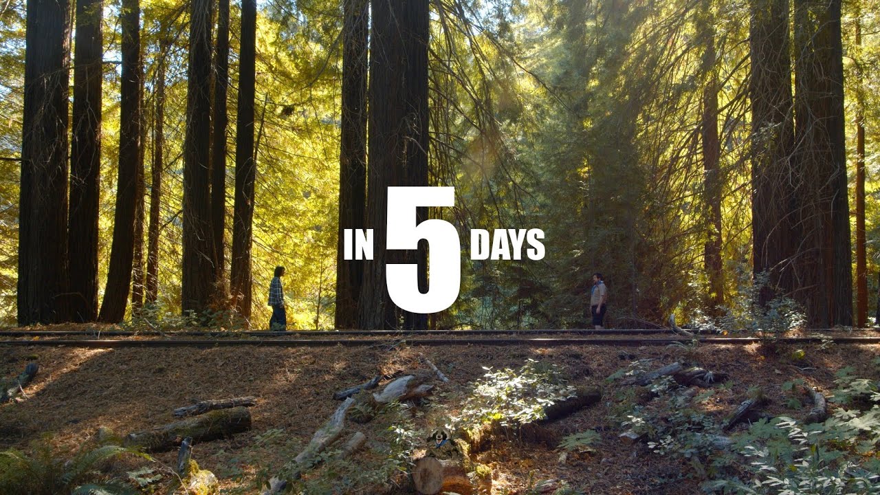 In 5 Days