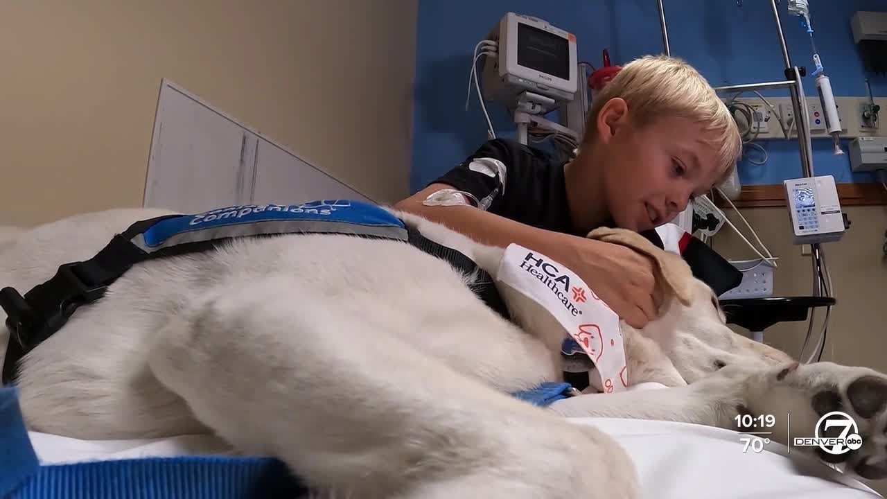 The 'tail' behind the dogs at Rocky Mountain Hospital for Children ...