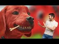 Clifford eats other dogs and uses their bones as toothpicks in the live action movie