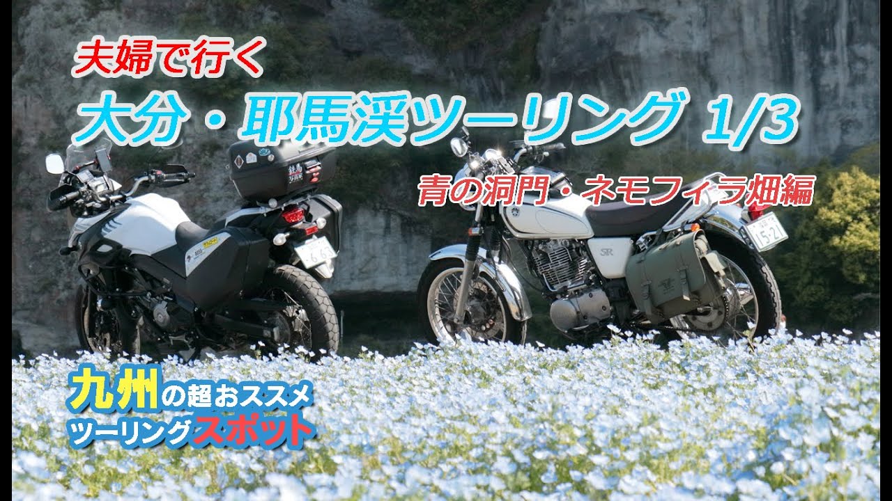 Couple Touring] We went to see the nemophila flowers at the Aonodo