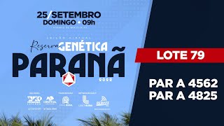 LOTE 79 PAR A4562 PAR A4825