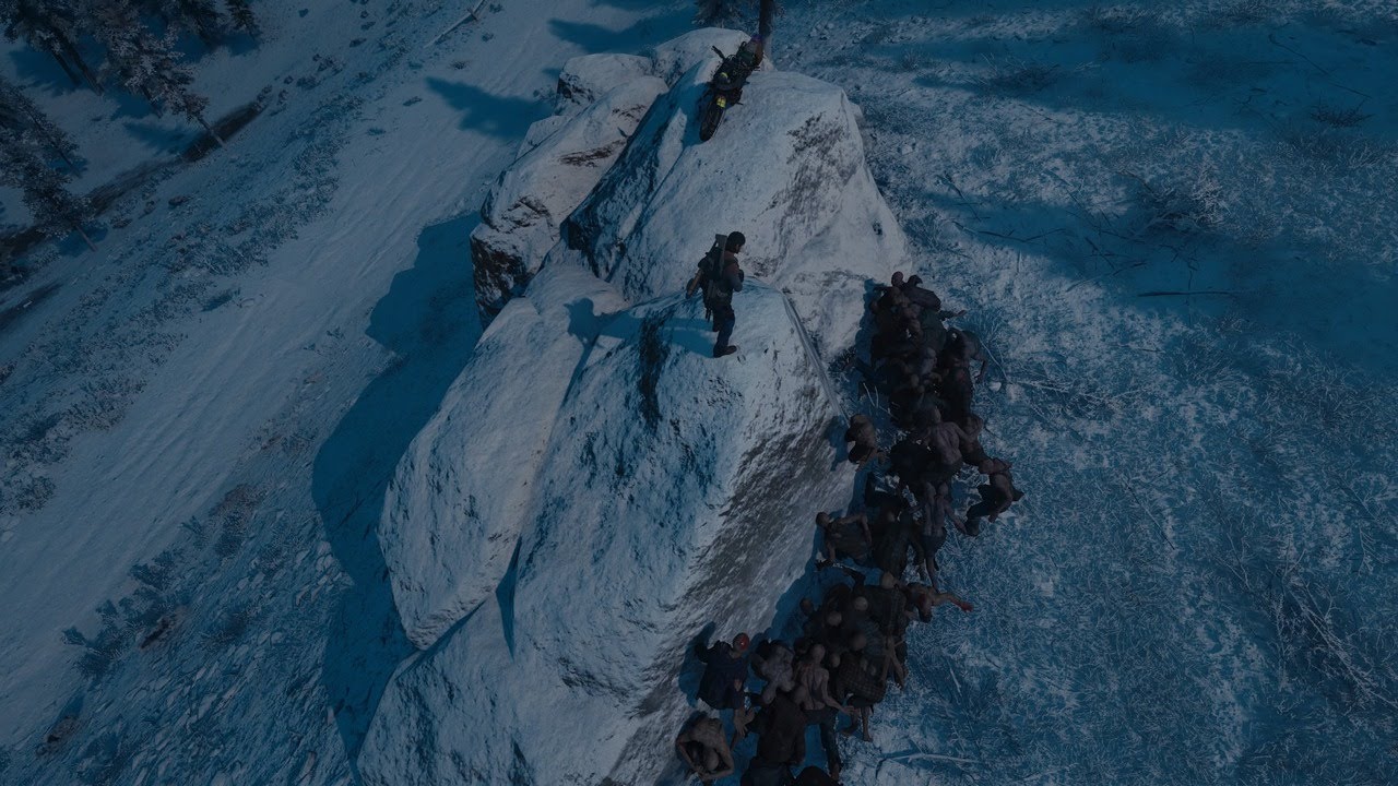 Berley Lake Horde DAYS GONE