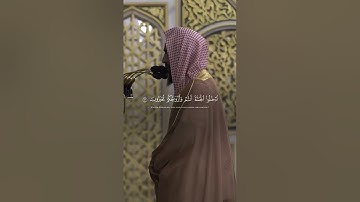 سورة الزخرف من آية ٦٧-٧٣ الشيخ أحمد بن طالب